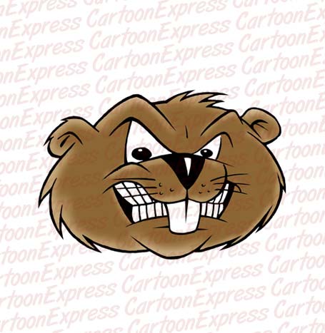 beaver